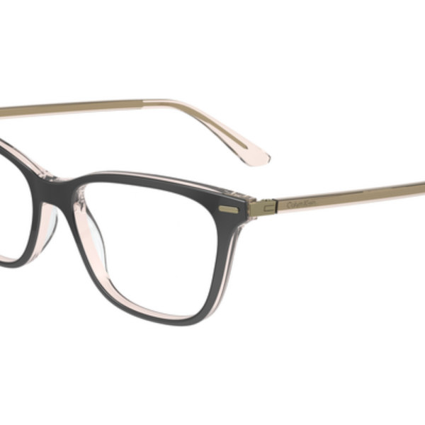 Calvin Klein Frame CK23544