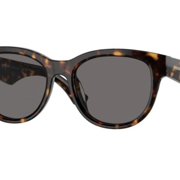 Burberry Sunglasses BE4432U 300281 POLARIZED