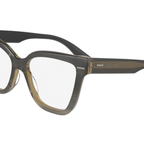 Calvin Klein Frame CK23543