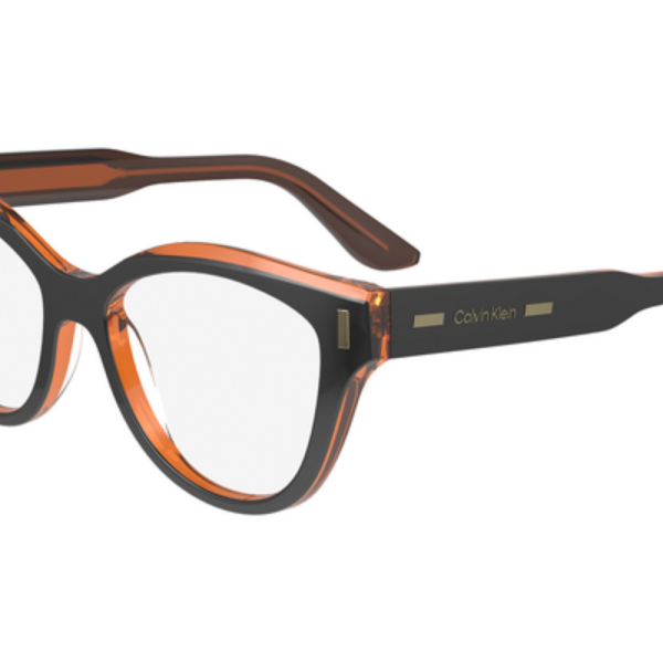 Calvin Klein Frame CK23541