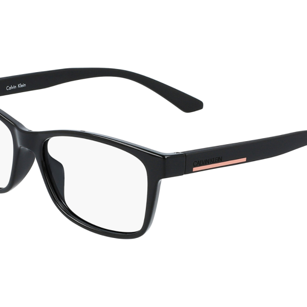 Calvin Klein Frame CK20533