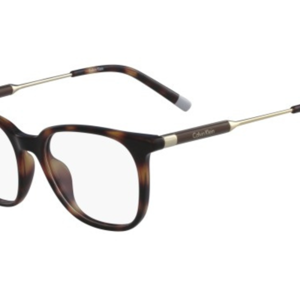 Calvin Klein Frame CK6008