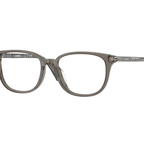 BURBERRY 2434D 4160 53