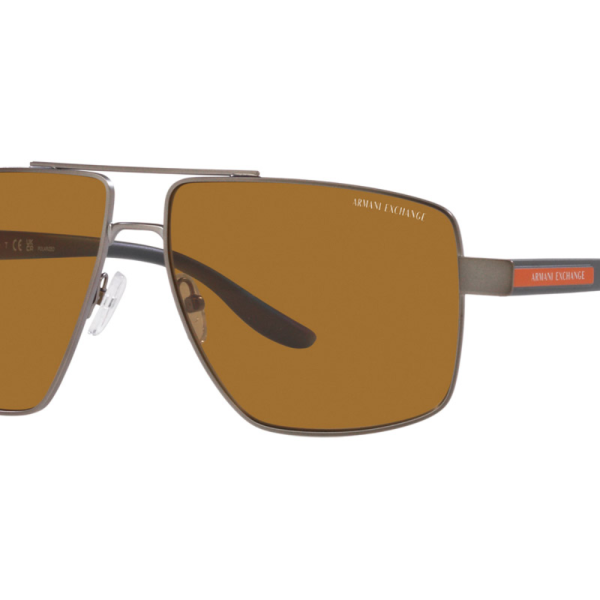Armani Exchange Sunglasses AX 2037S (Pre Booking)