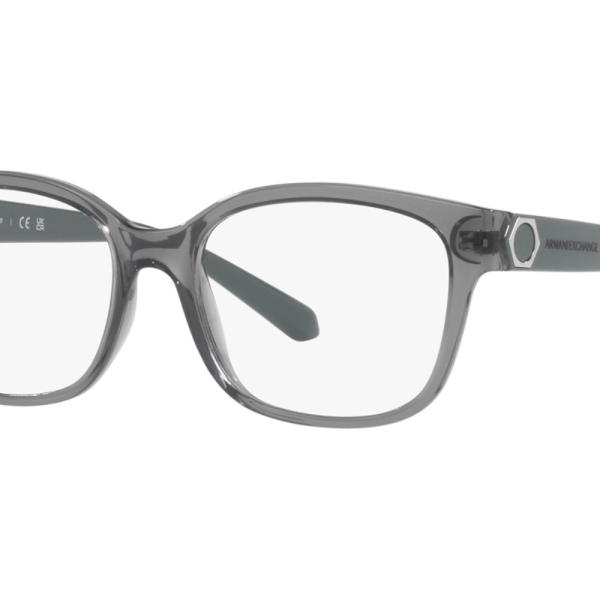 Armani Exchange AX3098 (Pre Booking)