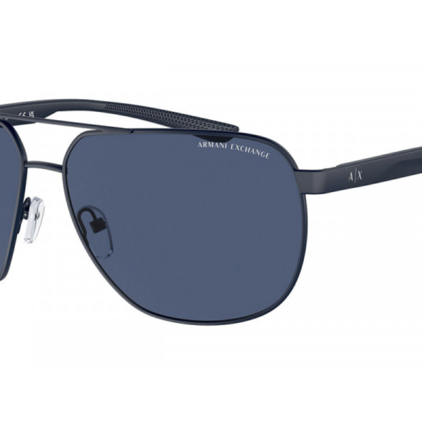 Armani Exchange Sunglasses AX2047S (Pre Booking)