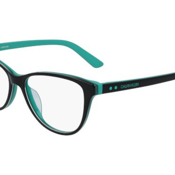 Calvin Klein Frame CK19516