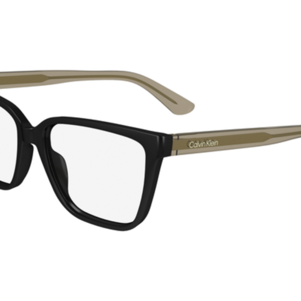 Calvin Klein Frame CK24524