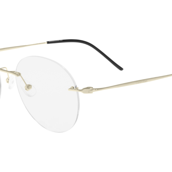 Calvin Klein Frame CK22125TA