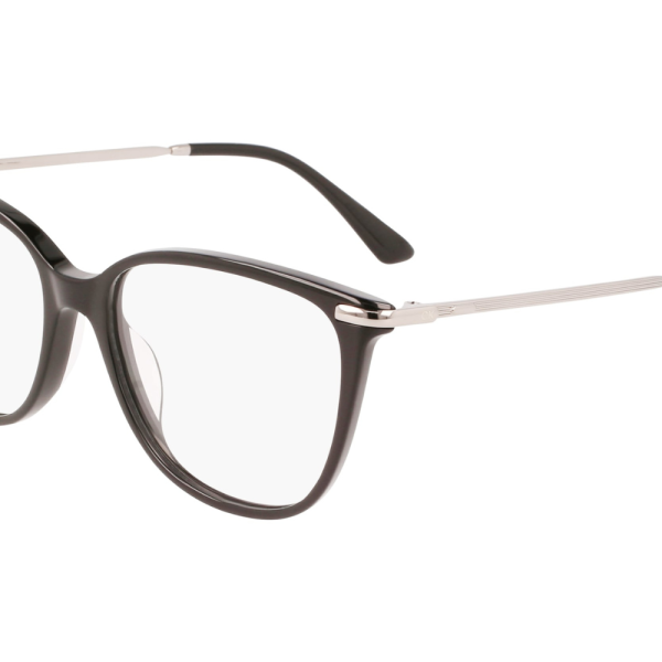 Calvin Klein Frame CK22500